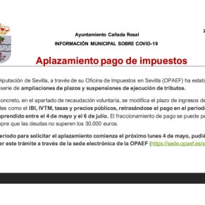 Informe Ayto.Cañada coronavirus 29-4-202