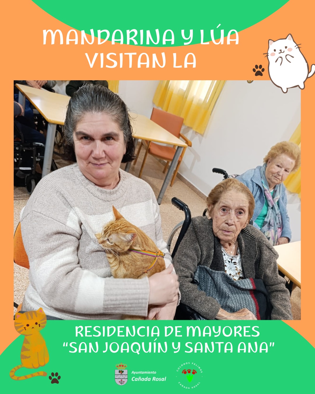 COLONOS FELINOS RESIDENCIA MAYORES_2