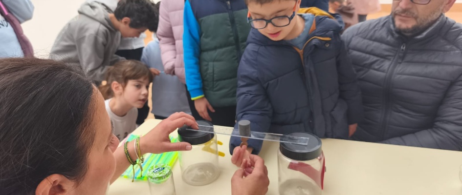 WhatsApp Image 2026-03-09 at 10.59.12