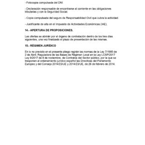 PLIEGO ADJUDICACIO¦üN BARRA PLAZA  FERIA 2024_page-0005