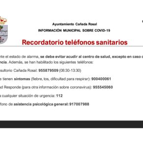 Informe Ayto.Cañada coronavirus 14-4-204