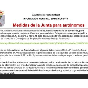 Informe Ayto.Cañada coronavirus 16-4-203