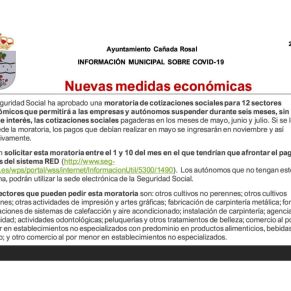 Informe Ayto.Cañada coronavirus 29-4-203
