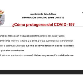 Informe Ayto.Cañada coronavirus 5-4-202