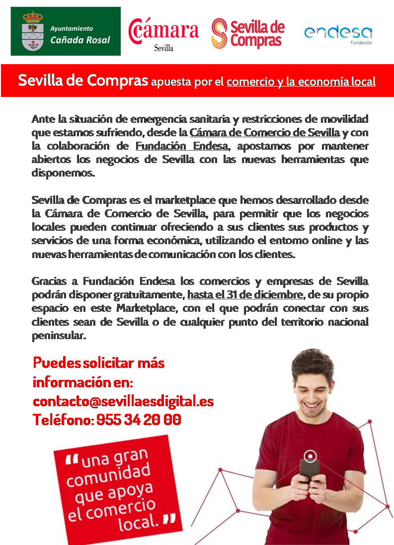 Sevilla de Compras - Fundacion Endesa (editable)