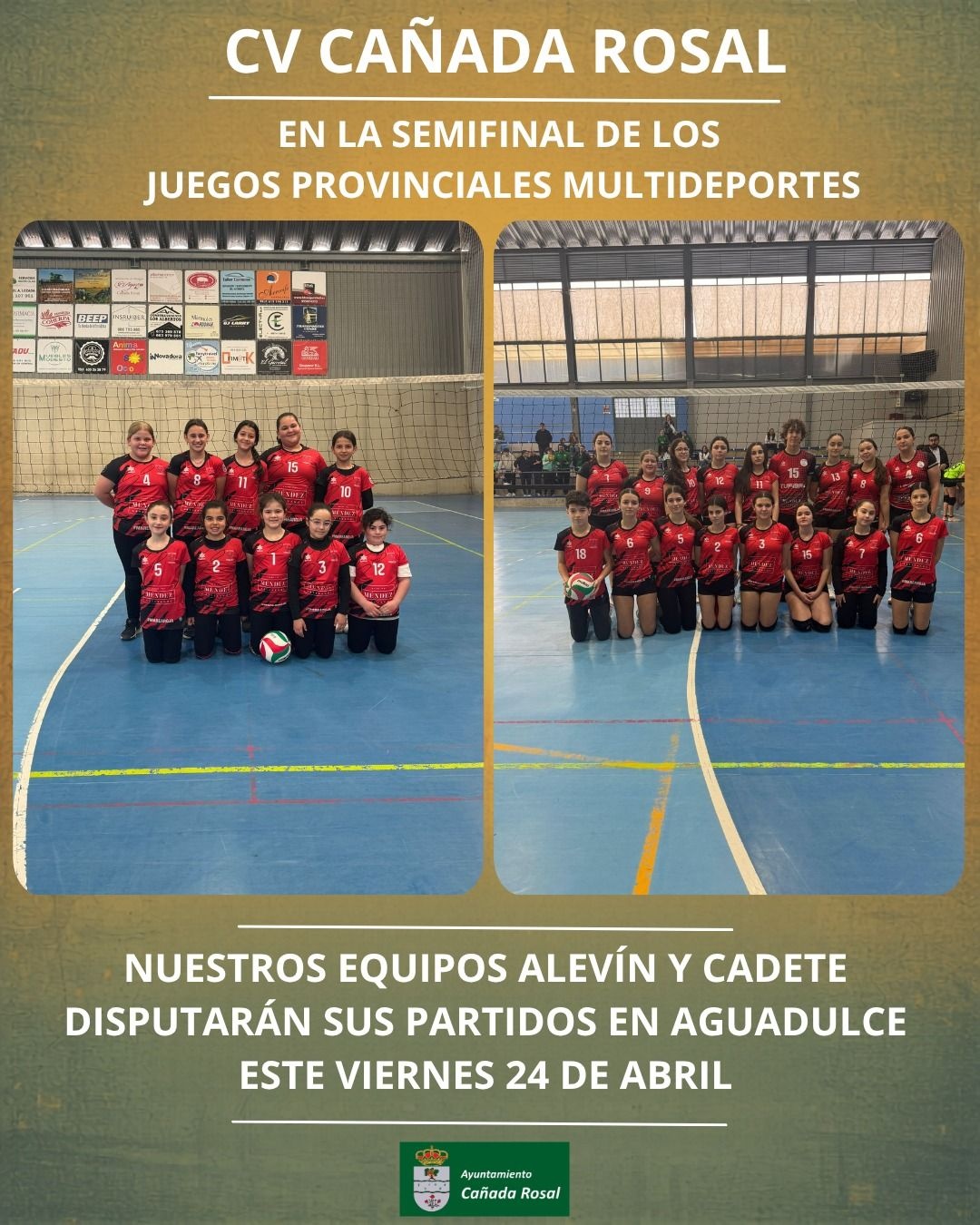 JUEGOS PROVINCIALES VOLEY