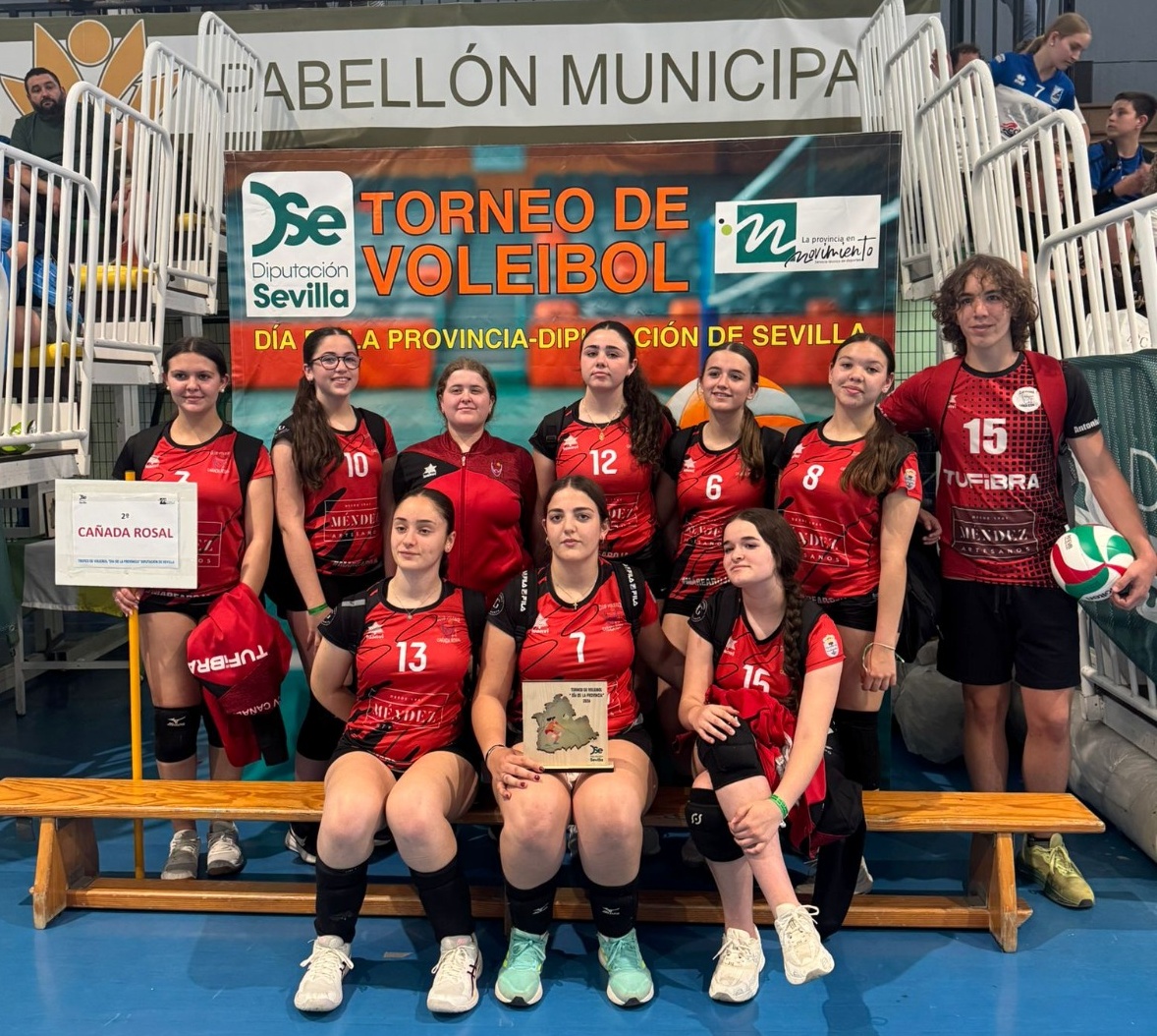 voleibol (3)